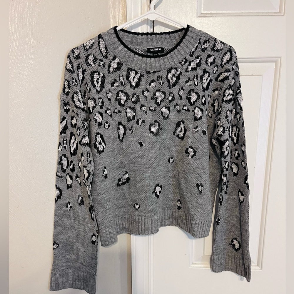 Express Cheetah Print Sweater ✨
